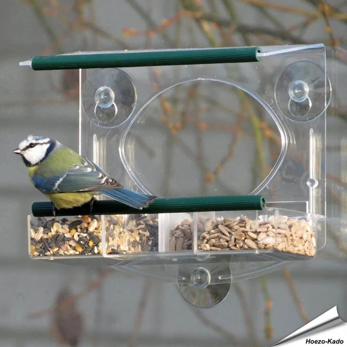 birdfeeder-raamvoederhuis-bolmso Aniculis Raamvoederhuis Bolmso birdfeeder